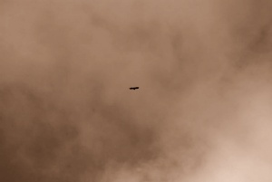 Bildgalleriets omslag Bildgalleriets omslag