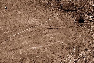 Bildgalleriets omslag Bildgalleriets omslag